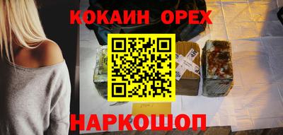 меф Гатчина