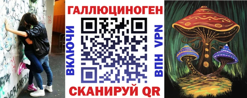 Псилоцибиновые грибы Psilocybe  купить   Ижевск 
