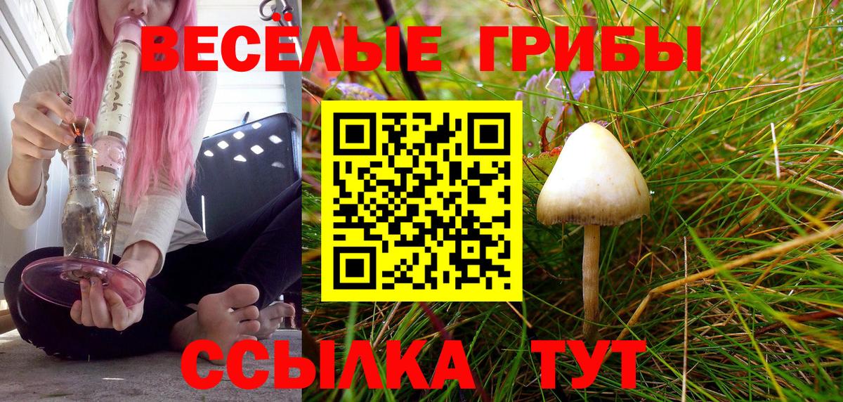 Галлюциногенные грибы Psilocybe Ижевск